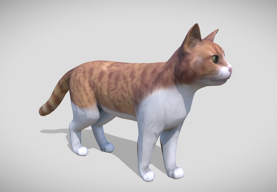 Cat